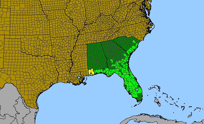 The range of Sabatia brevifolia